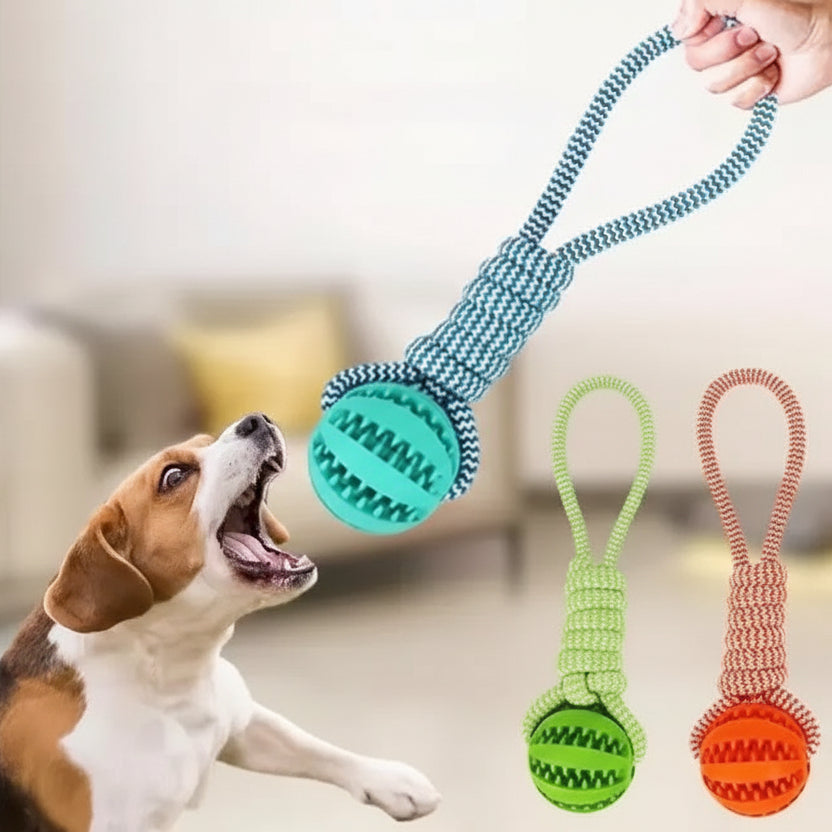 Jouet interactif pour chien avec distributeur de friandises
