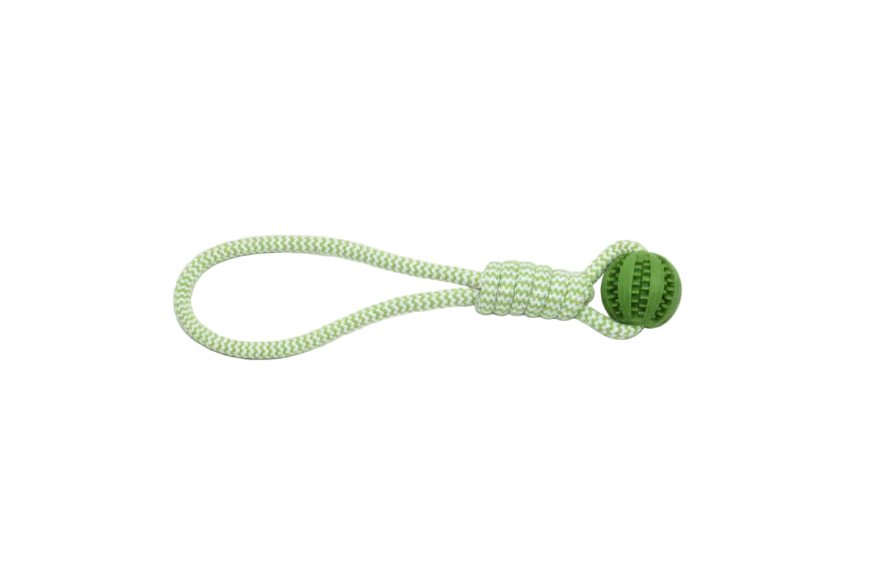 Jouet interactif pour chien avec distributeur de friandises