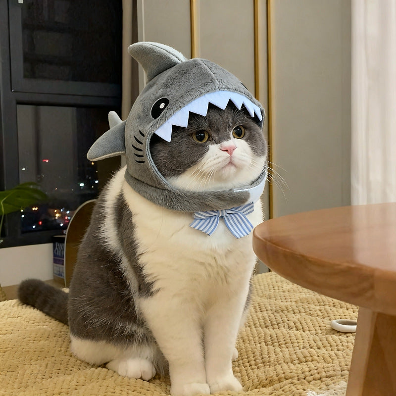 Costume de chat requin