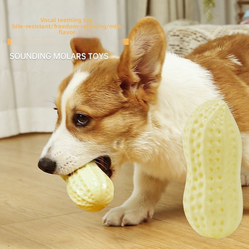 Peanut Squeaky Dog Chew Toy