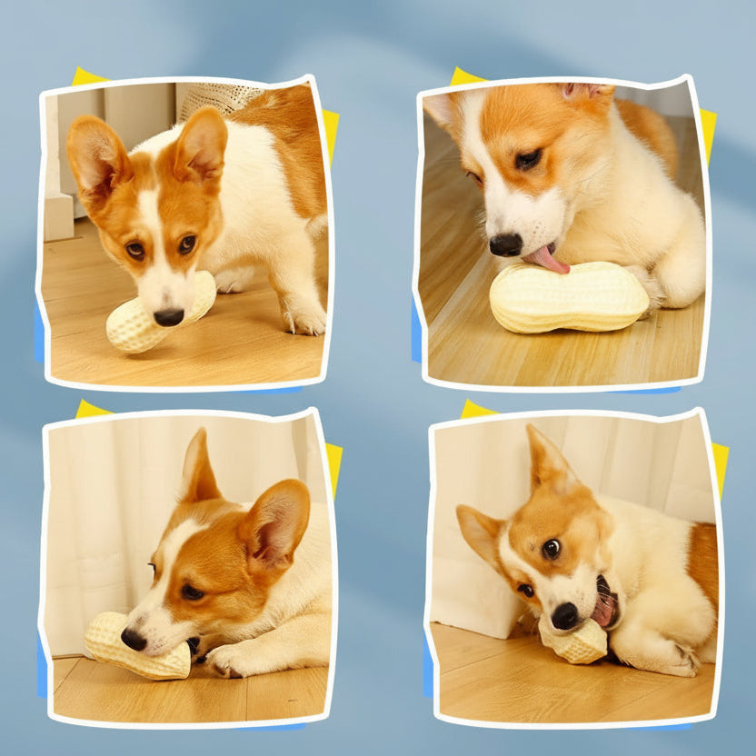 Peanut Squeaky Dog Chew Toy
