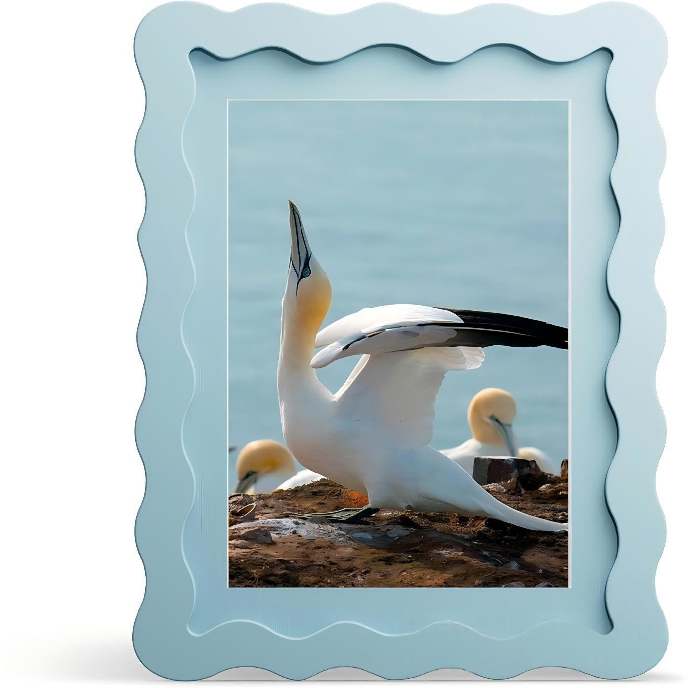 Blue picture frame with a photo of birds on a rocky shore.